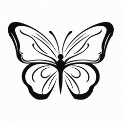 cute butterfly