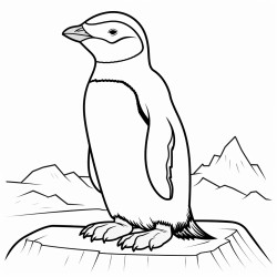 a cute icelandic chinstrap penguin