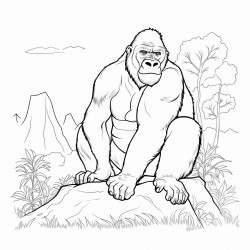 gorilla
