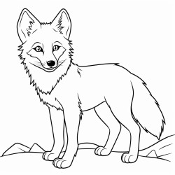 a cute icelandic coyote