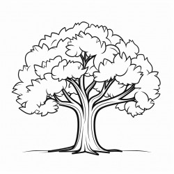 tree with wide leaves