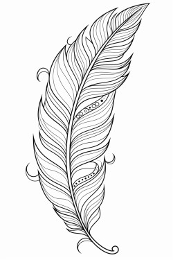 a cute  ethereal feathers  coloring bookvector white background black and white black drawing