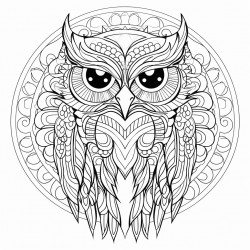 mandala owl