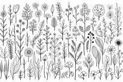 botanical pattern word johanna in front