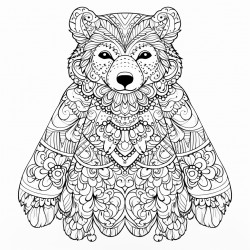 bear in a dress