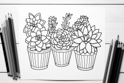 succulents