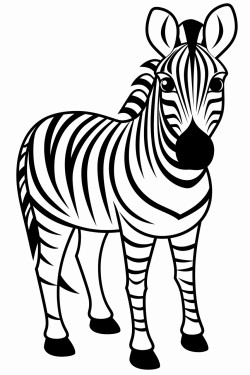 a simple zebra