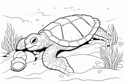 a sea turtle sleeps on coral reef and is embraced gently by sleepy octopus