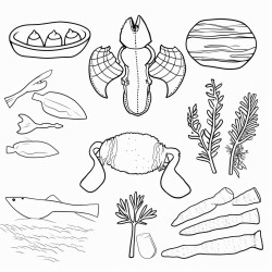 a collage that includes a pine tree wooden boat oars a lobster a potato  a moose mittens a sand dollar a shrimp a whoopie pie a clam bluberries and a chickadee