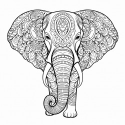 elephant