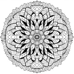 a mandala with intricate geometric paisley patterns