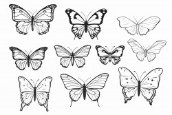 des papillons