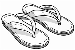 flip flops