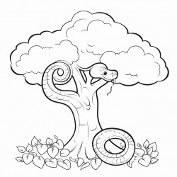 a snake on a tree