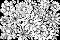 bunch of flowers gives you feeling of happinessthe flowers are quite bigabstract