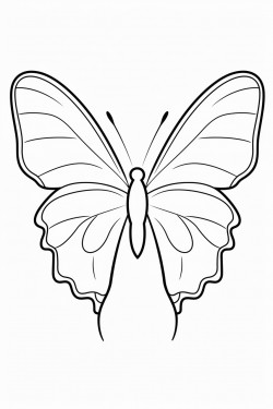 buttefly