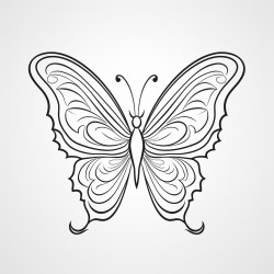 mariposas
