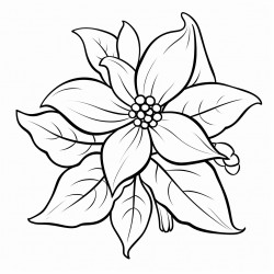 one anthrium flower sorrounded by leaves