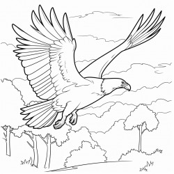a vulture flying over a forest