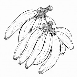 bananas