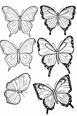 butterflies