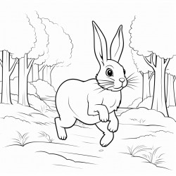 rabbit running in the forest