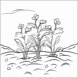 plants on land