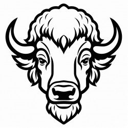 bison half face mask