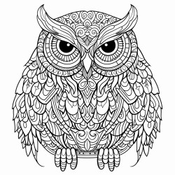 an owl with a pattern inside of it colouring book photo thick lines detailed