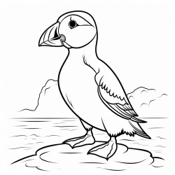 a cute icelandic atlantic puffin