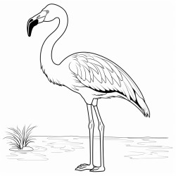a flamingo standing tall with its legs straight and neck curved in an sshape