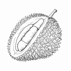 durian clipart