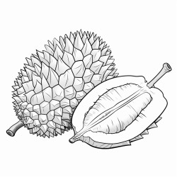 1 durian clipart