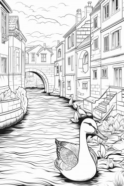 duck play water in canal