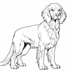 polish hunting spaniel