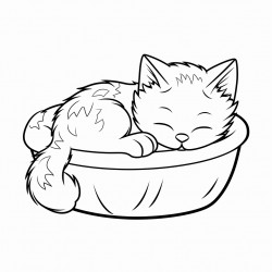 cat sleeping