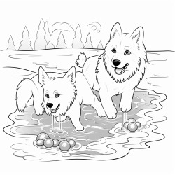 two samoyeds playing with ball in the water while fishes are around