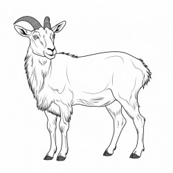 goat