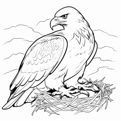 a cute icelandic golden eagle in its nest