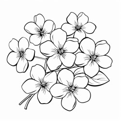 jasmin flowers