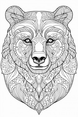 portrait of a bear