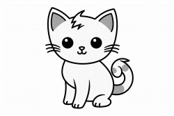orange cat