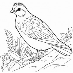 a quail working on leaves