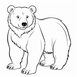 un ours