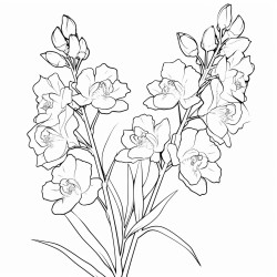 larkspur flower