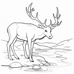 deer drinking from water who has cwd