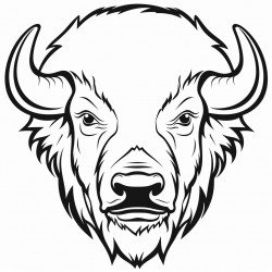 bison half face mask