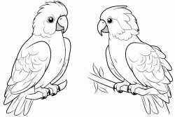 para colorear