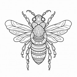 bee in zentangle style