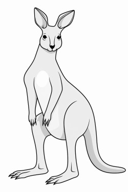 kangaroo